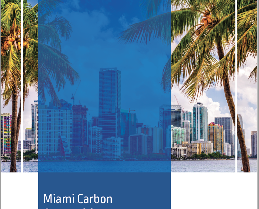 Miami Carbon Competitiveness